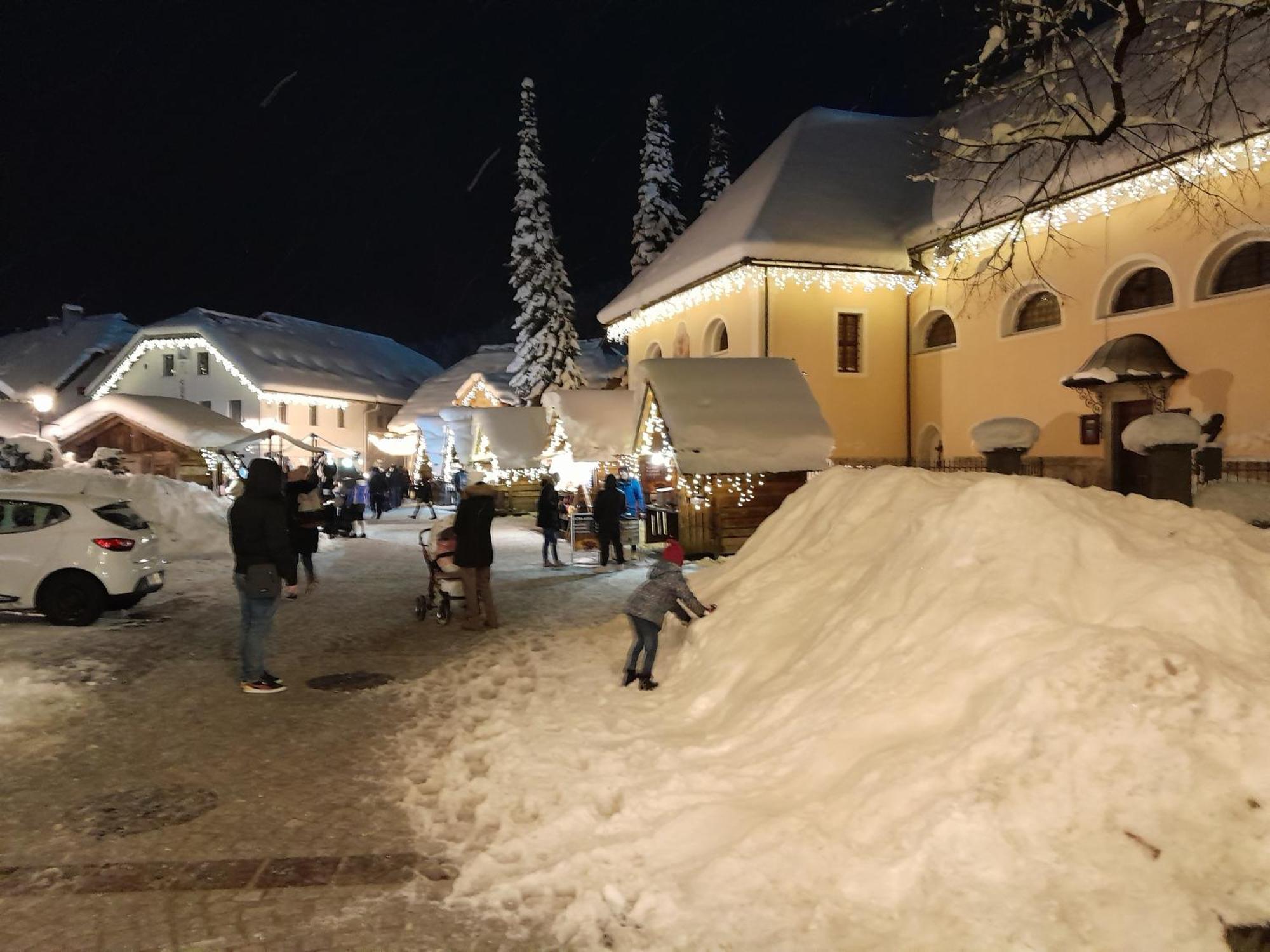 Les I Kranjska Gora